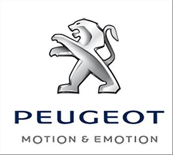 Peugeot Nefkens Veendam - Michels Beveiliging & Dienstverlening
